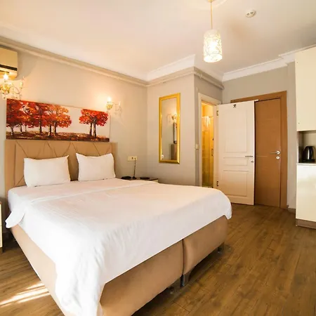 Zendy Otel 3*