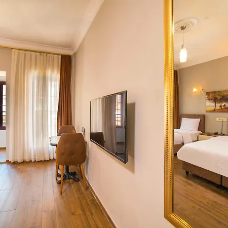 Zendy 3*